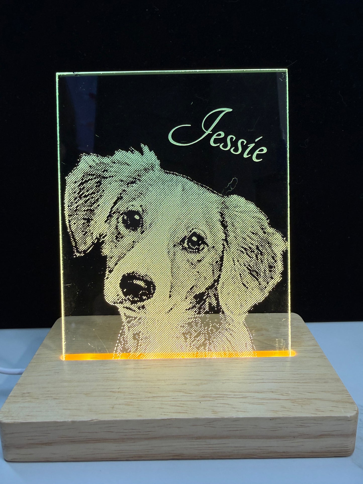 Personalized LED Lighted Photo Engraved Glass Plate with Wooden Base